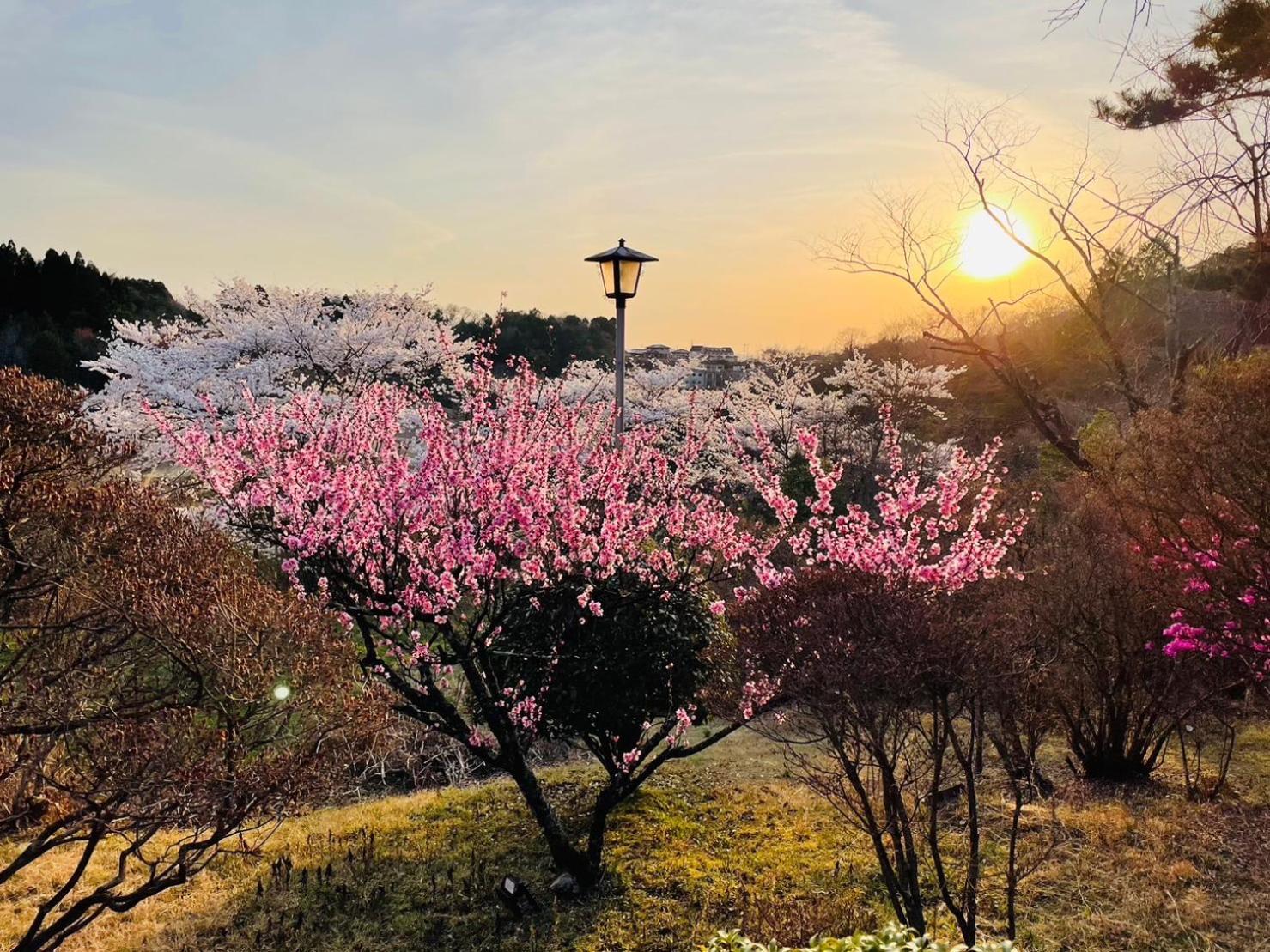 Granping ng が mi no Du Hotel Nakatsugawa Exterior foto